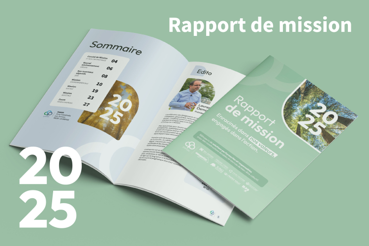 Rapport de Mission